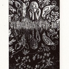 Forest Pool : Wood Engraving : Ruth Oaks
